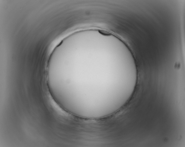 X0000111611524200908141241