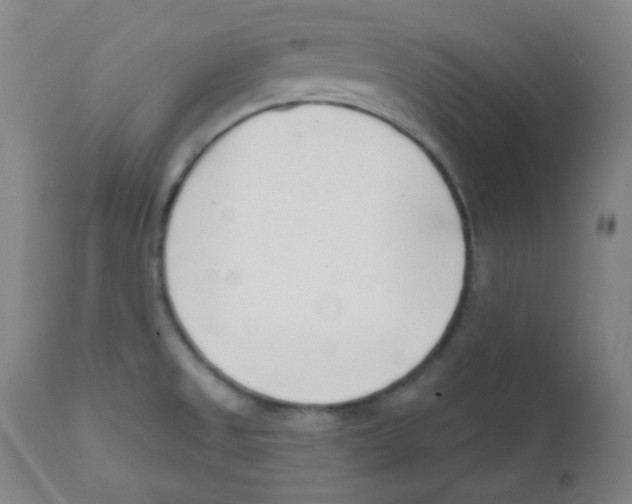X0000111611525200908141241