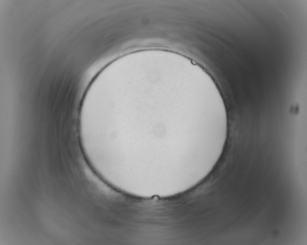 X0000111611527200908141241