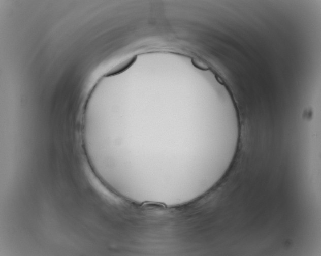 X0000111611528200908141241