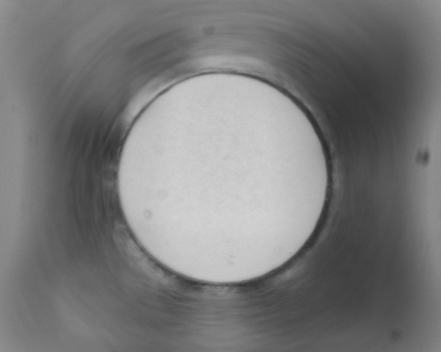 X0000111611529200908141241