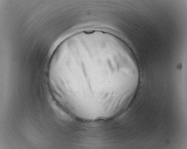 X0000111611530200908141241