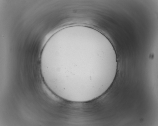 X0000111611532200908141241