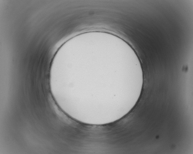 X0000111611534200908141241
