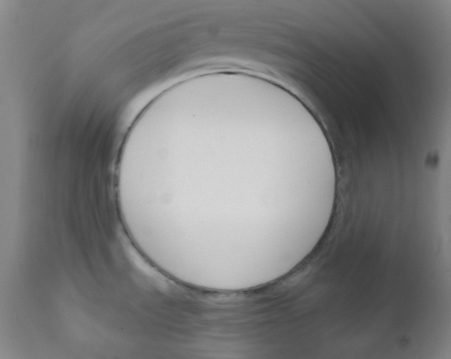X0000111611535200908141241