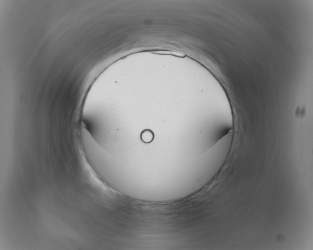 X0000111611536200908141241