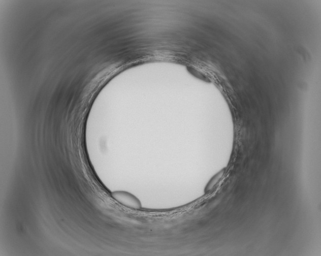 X0000111610001200908281101