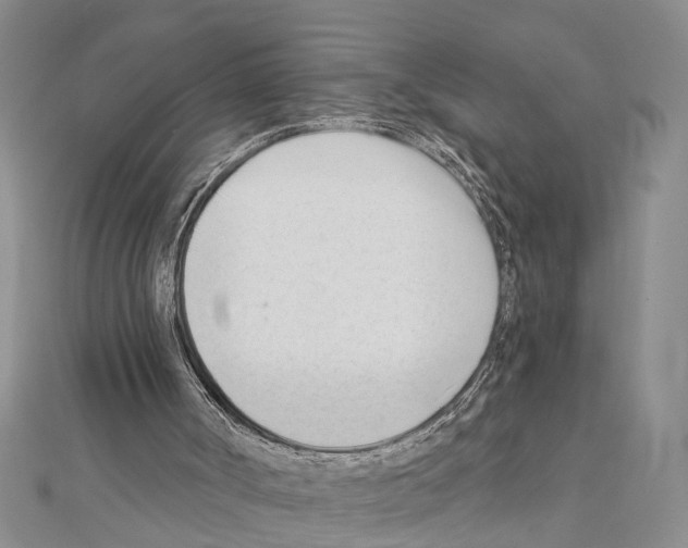 X0000111610002200908281101