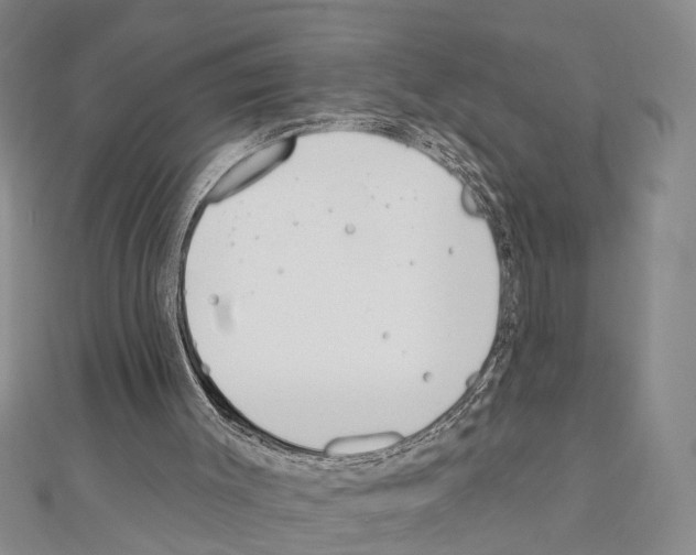 X0000111610003200908281101