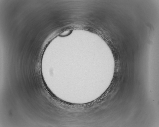 X0000111610004200908281101