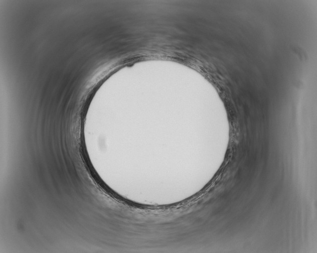 X0000111610005200908281101