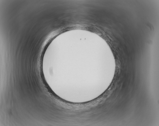 X0000111610006200908281101