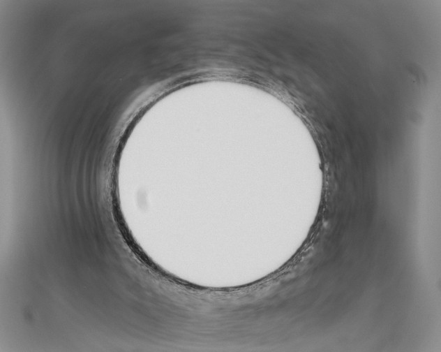X0000111610007200908281101