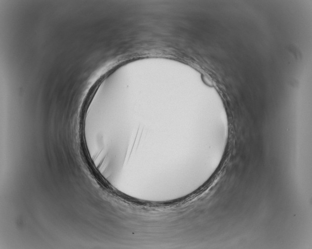 X0000111610008200908281101