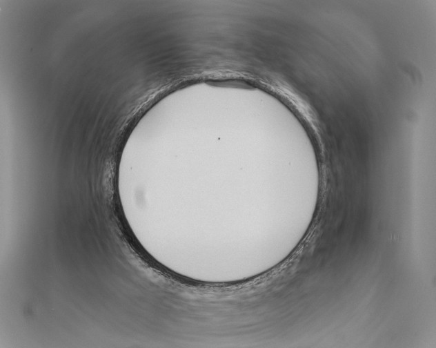 X0000111610009200908281101