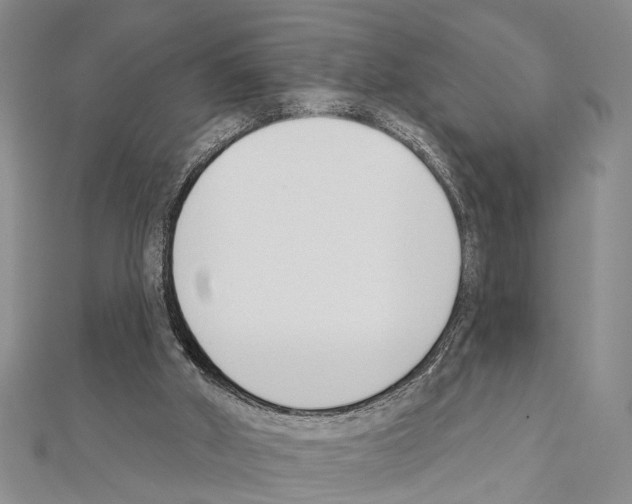 X0000111610010200908281101