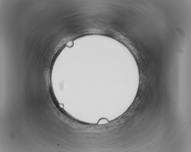 X0000111610011200908281101