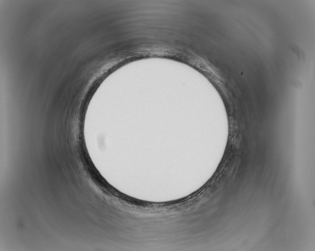 X0000111610012200908281101