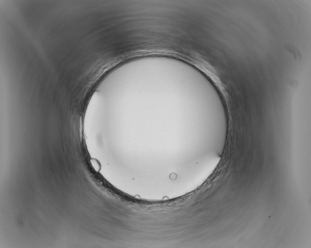 X0000111610013200908281100