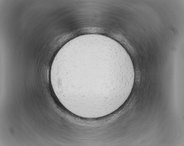 X0000111610014200908281100