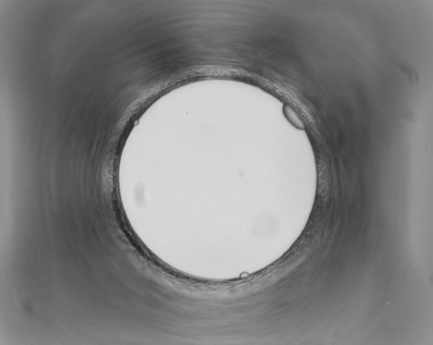 X0000111610015200908281100