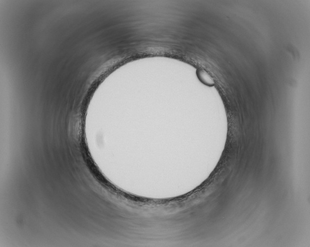 X0000111610016200908281100