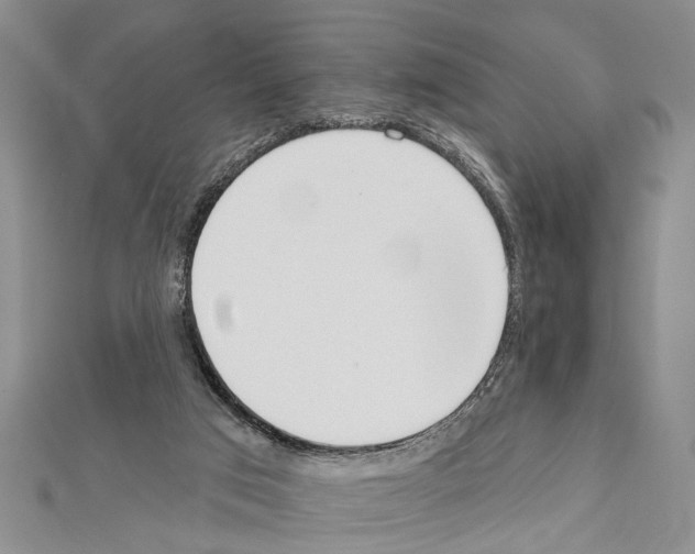 X0000111610017200908281100