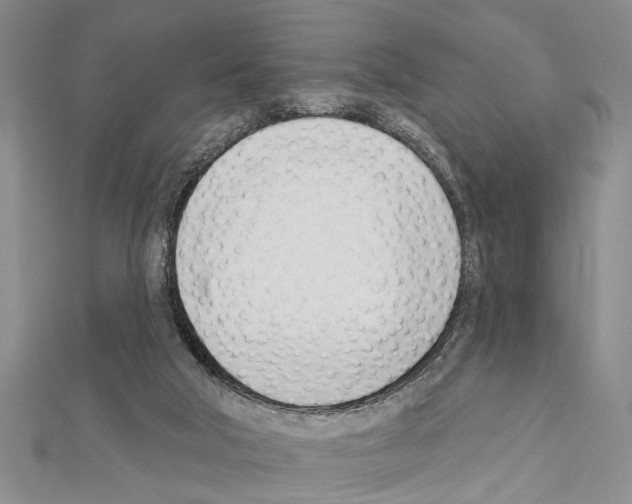 X0000111610018200908281100