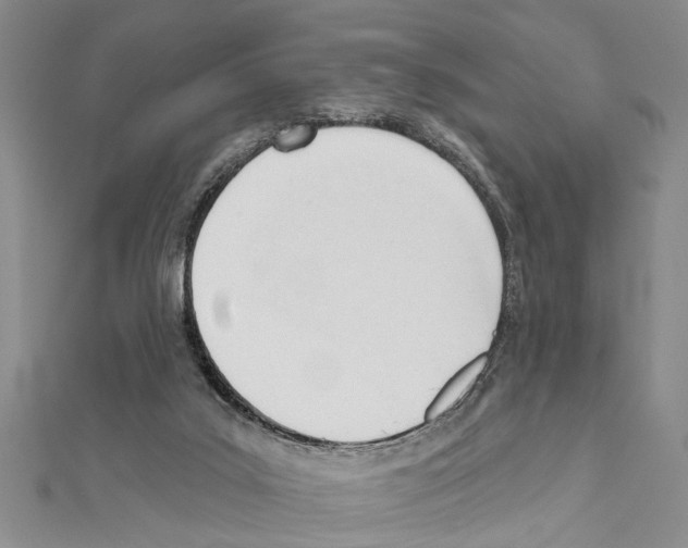 X0000111610019200908281100