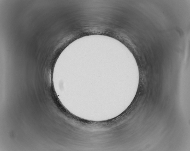 X0000111610020200908281100