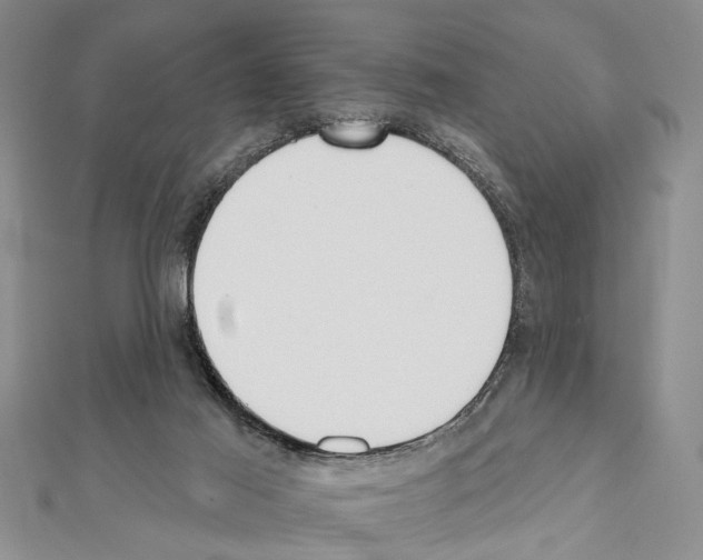 X0000111610021200908281100