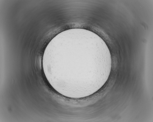 X0000111610022200908281100