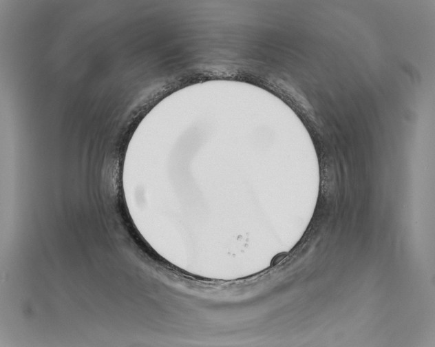 X0000111610023200908281100