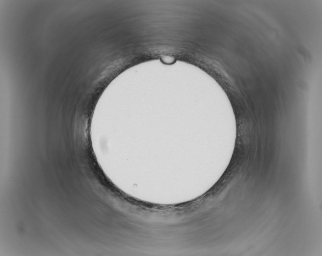 X0000111610024200908281100
