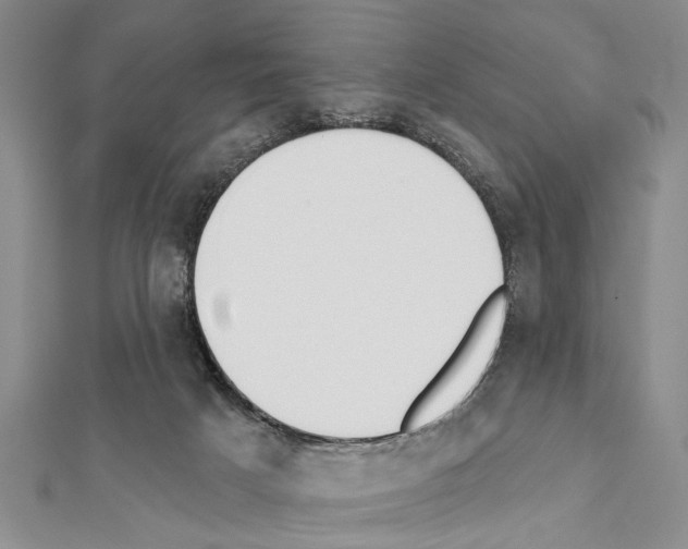 X0000111610025200908281100