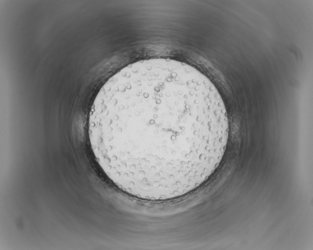 X0000111610026200908281100