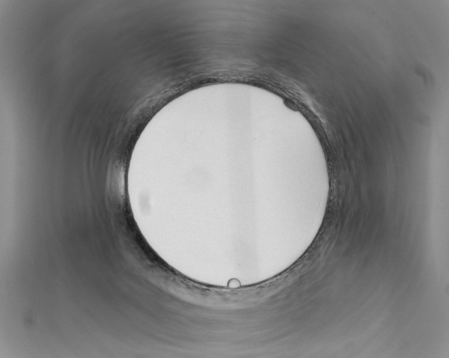 X0000111610027200908281100