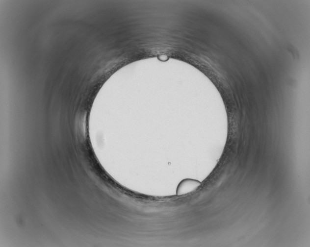 X0000111610028200908281100