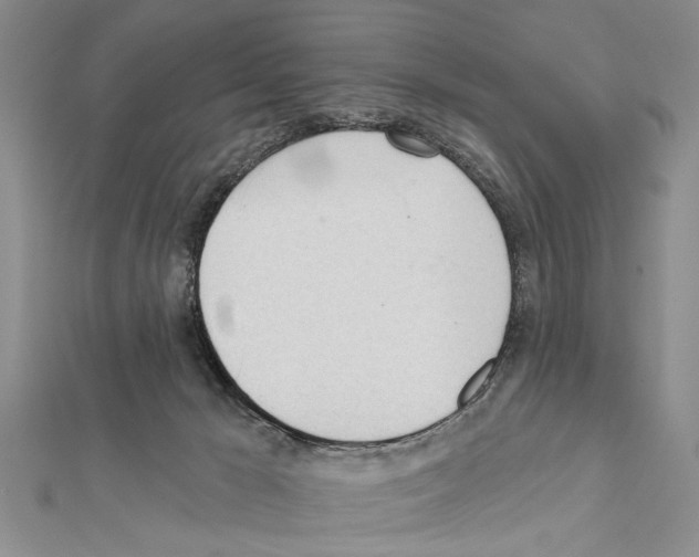 X0000111610029200908281100