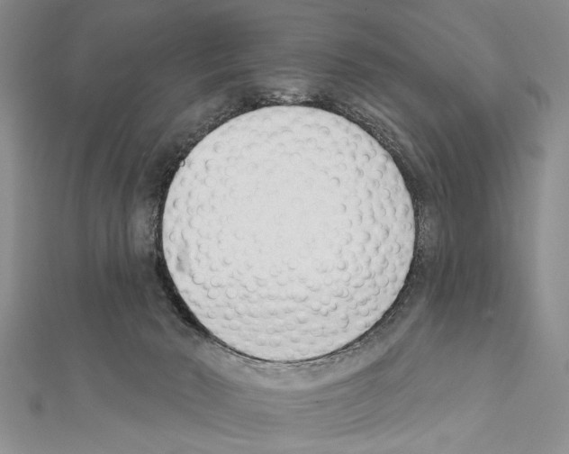 X0000111610030200908281100