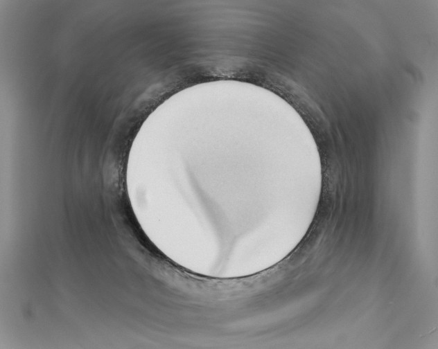 X0000111610031200908281100