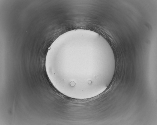 X0000111610033200908281100