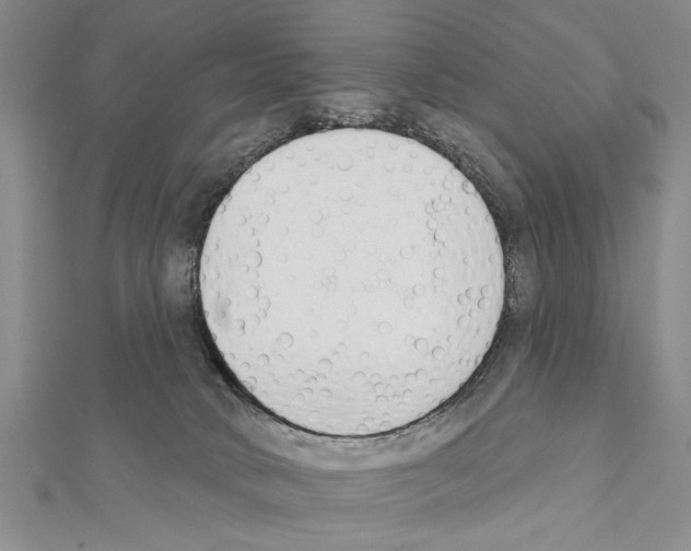 X0000111610034200908281100