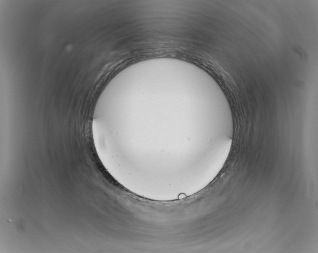 X0000111610035200908281100