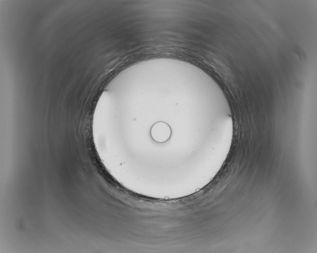 X0000111610036200908281100