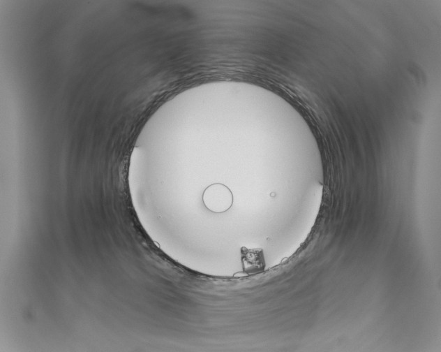 X0000111610037200908281100