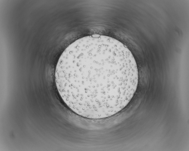 X0000111610038200908281100