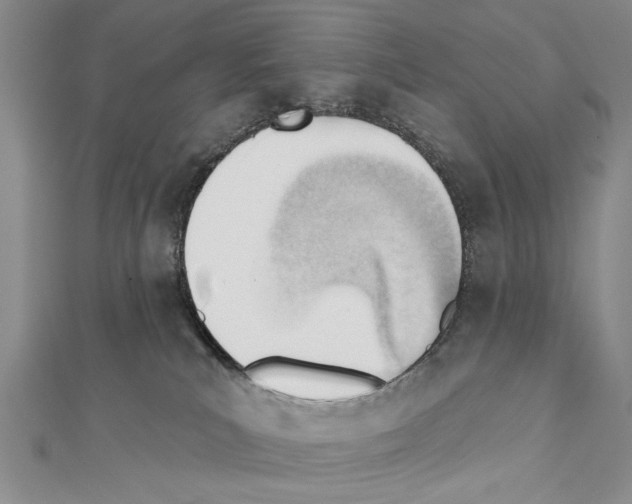 X0000111610039200908281100
