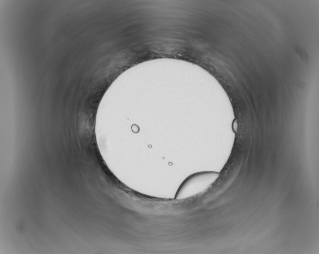 X0000111610040200908281100