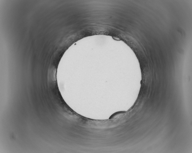 X0000111610041200908281100